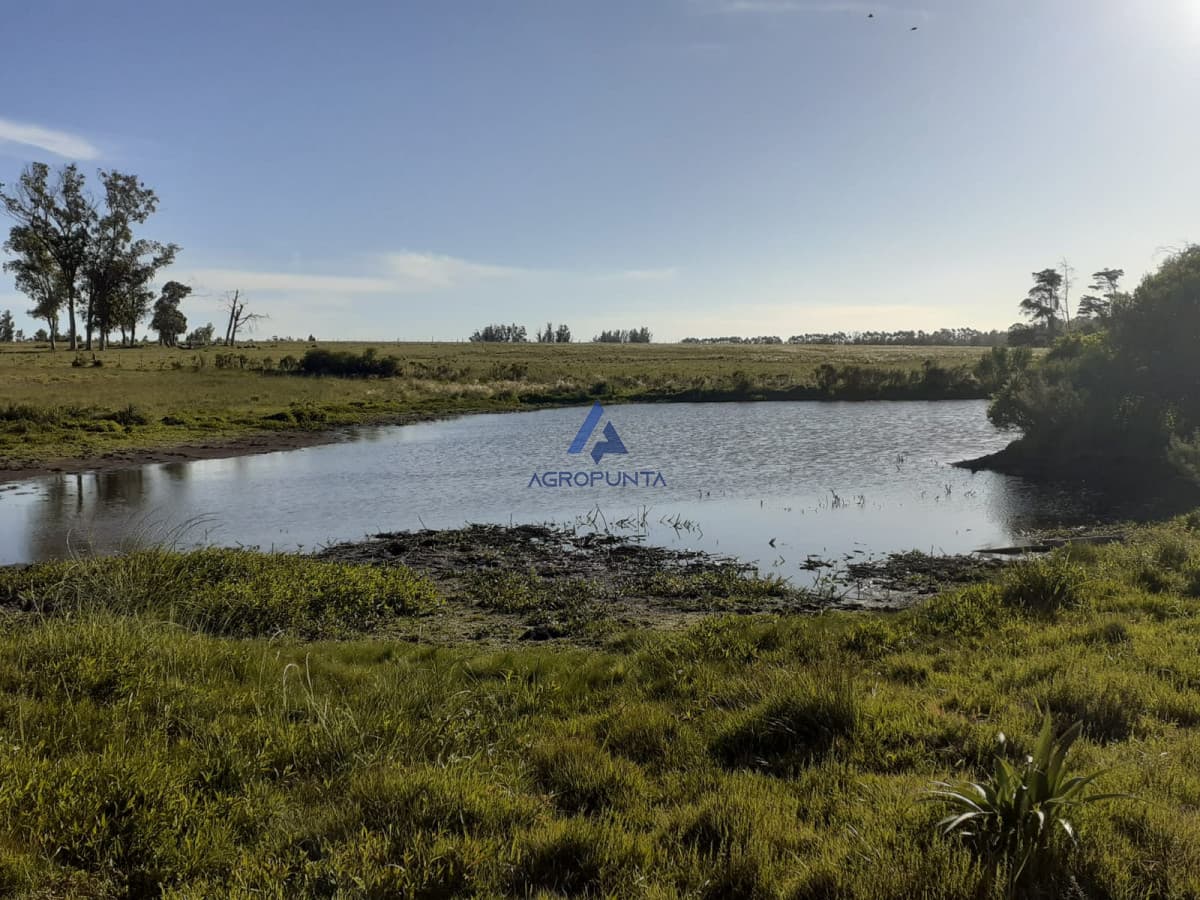 Chacra 23has Ruta 104