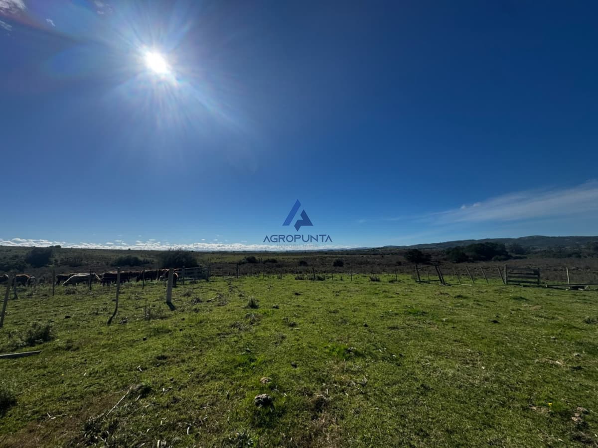 35 HAS EN VENTA A 20 MINUTOS DE SAN CARLOS!