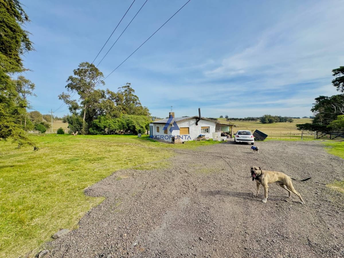 Chacra en Venta Ruta 9 5 hectáreas