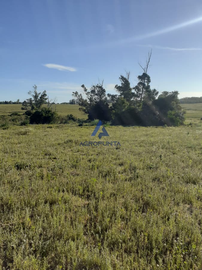 Chacra 23has Ruta 104