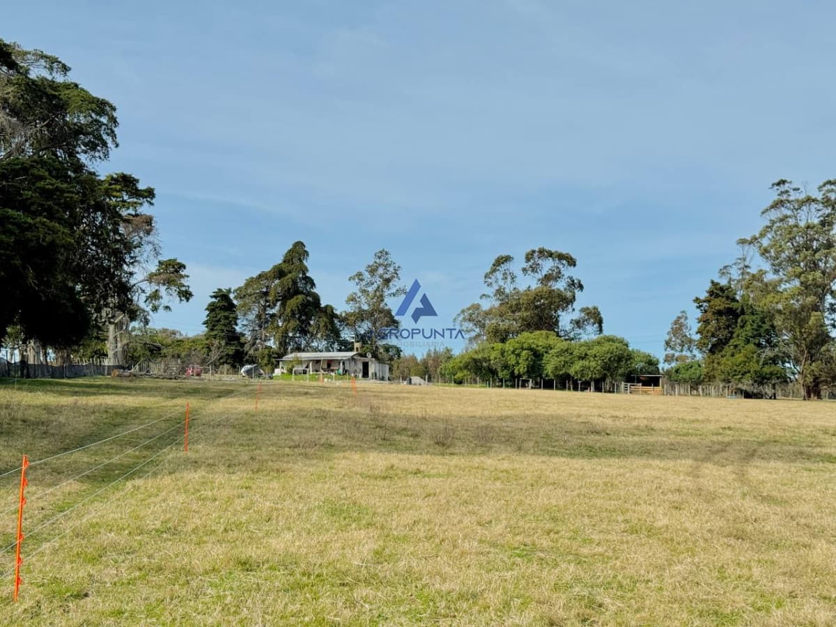 Chacra en Venta Ruta 9 5 hectáreas