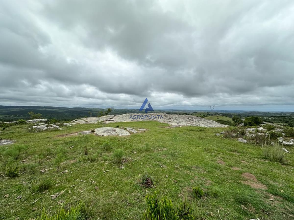Chacra Ruta 39