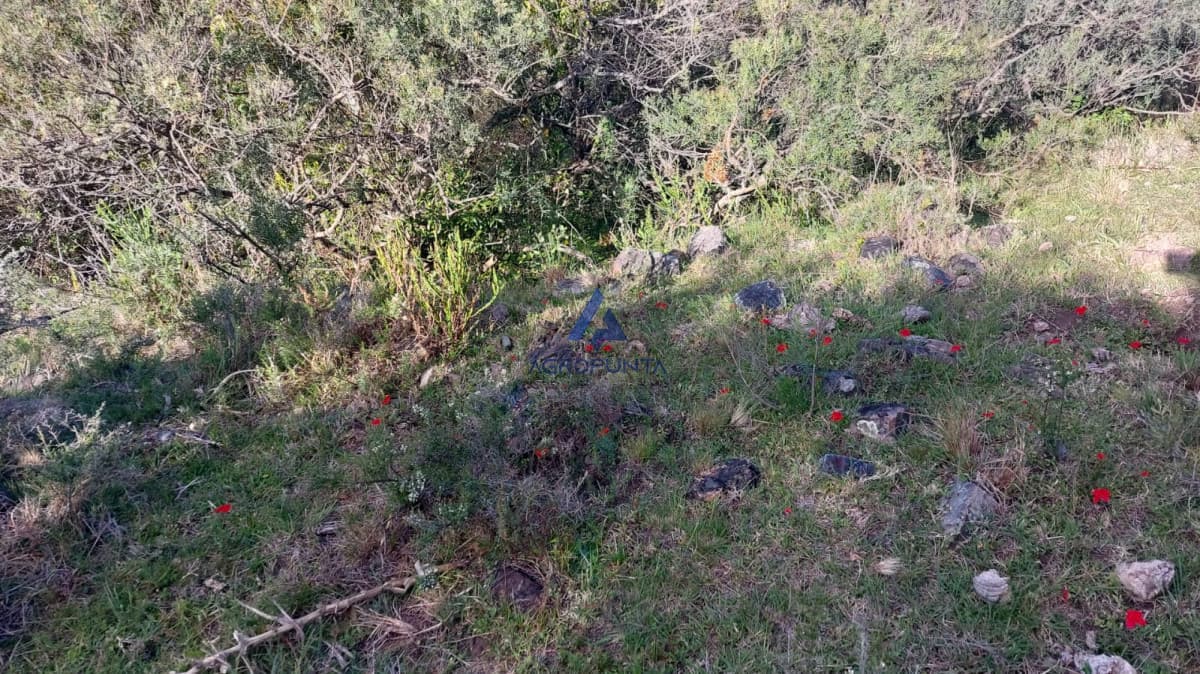 CHACRA A 50 km de Punta del Este