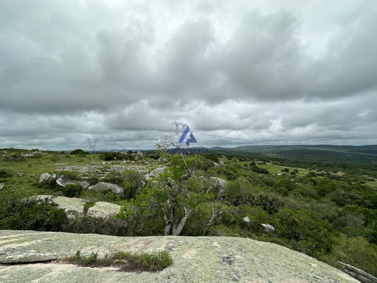 Chacra Ruta 39