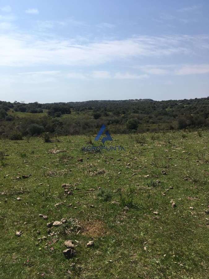 Chacra en ruta 39