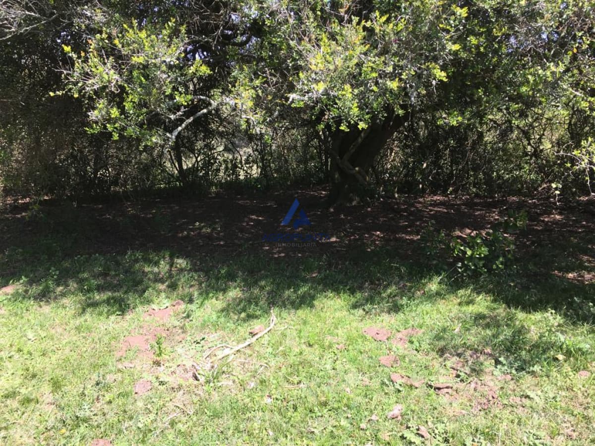 Chacra en ruta 39