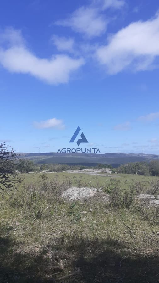 Chacra en ruta 39