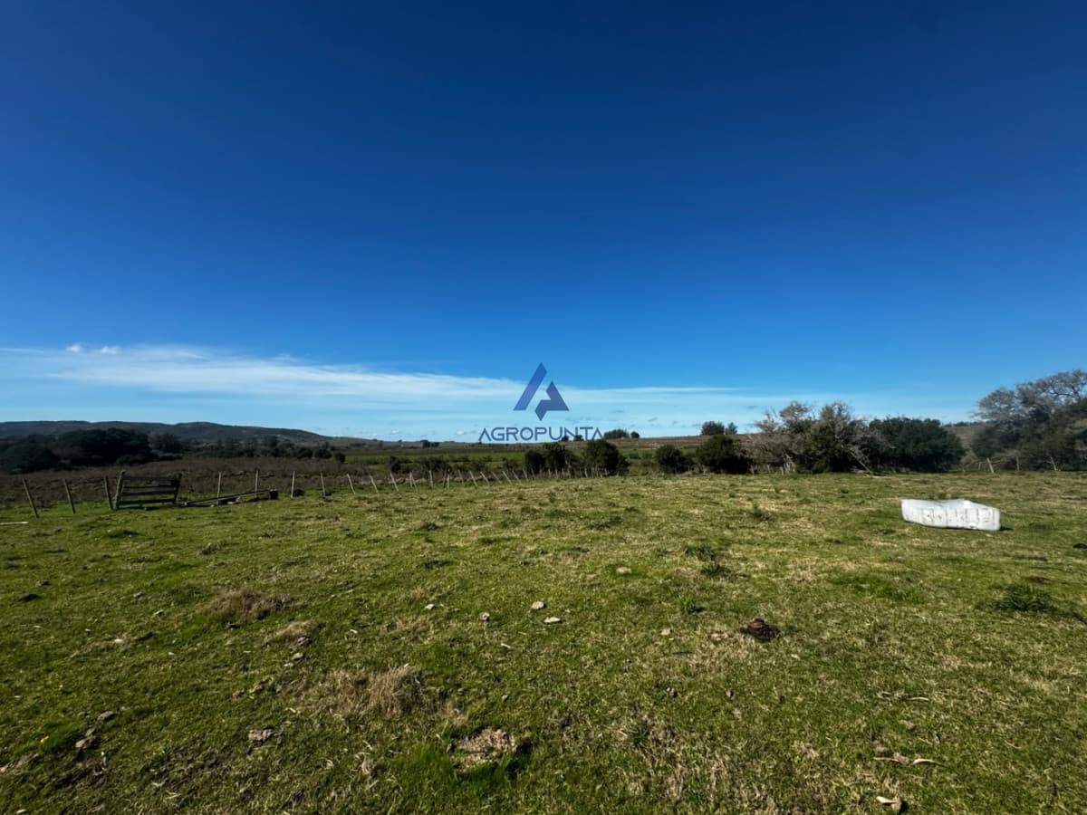 35 HAS EN VENTA A 20 MINUTOS DE SAN CARLOS!