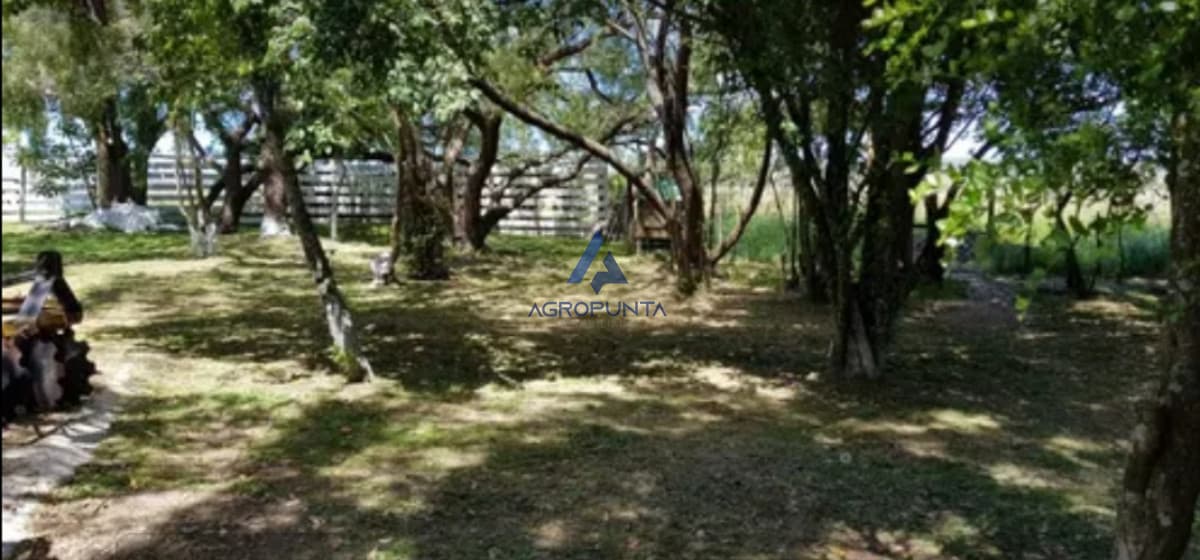 chacra venta ruta 39