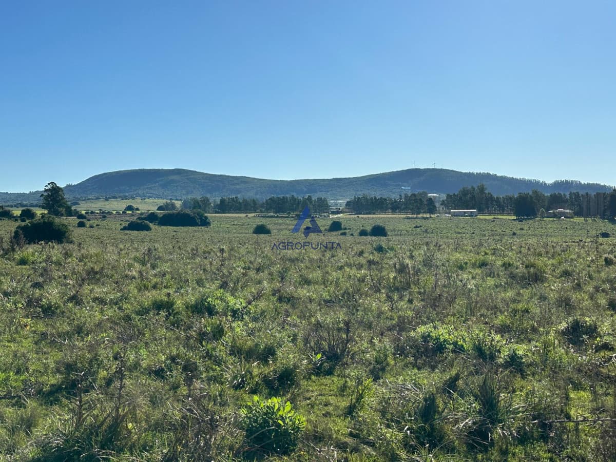 Chacra 67 Hás Pueblo Edén