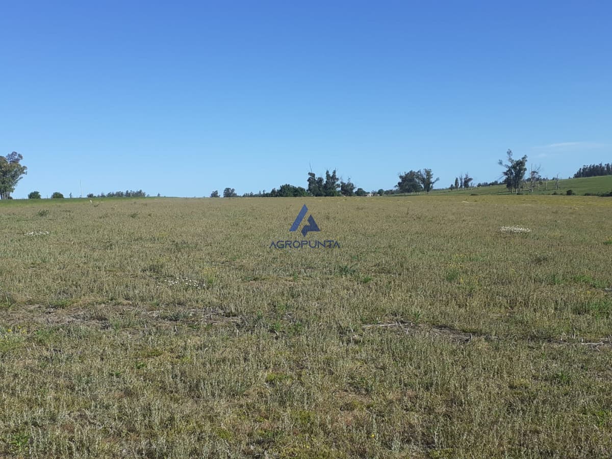 Chacra 23has Ruta 104