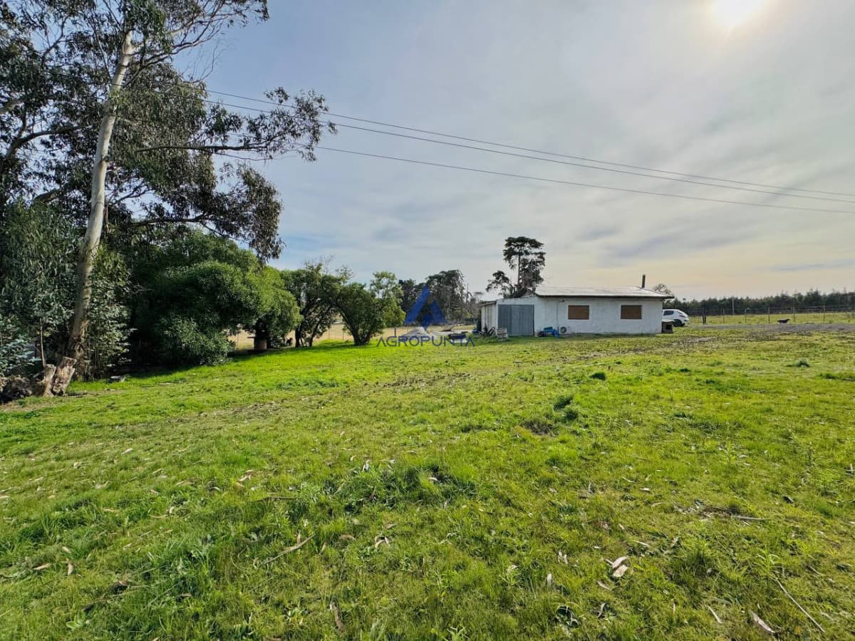 Chacra en Venta Ruta 9 5 hectáreas