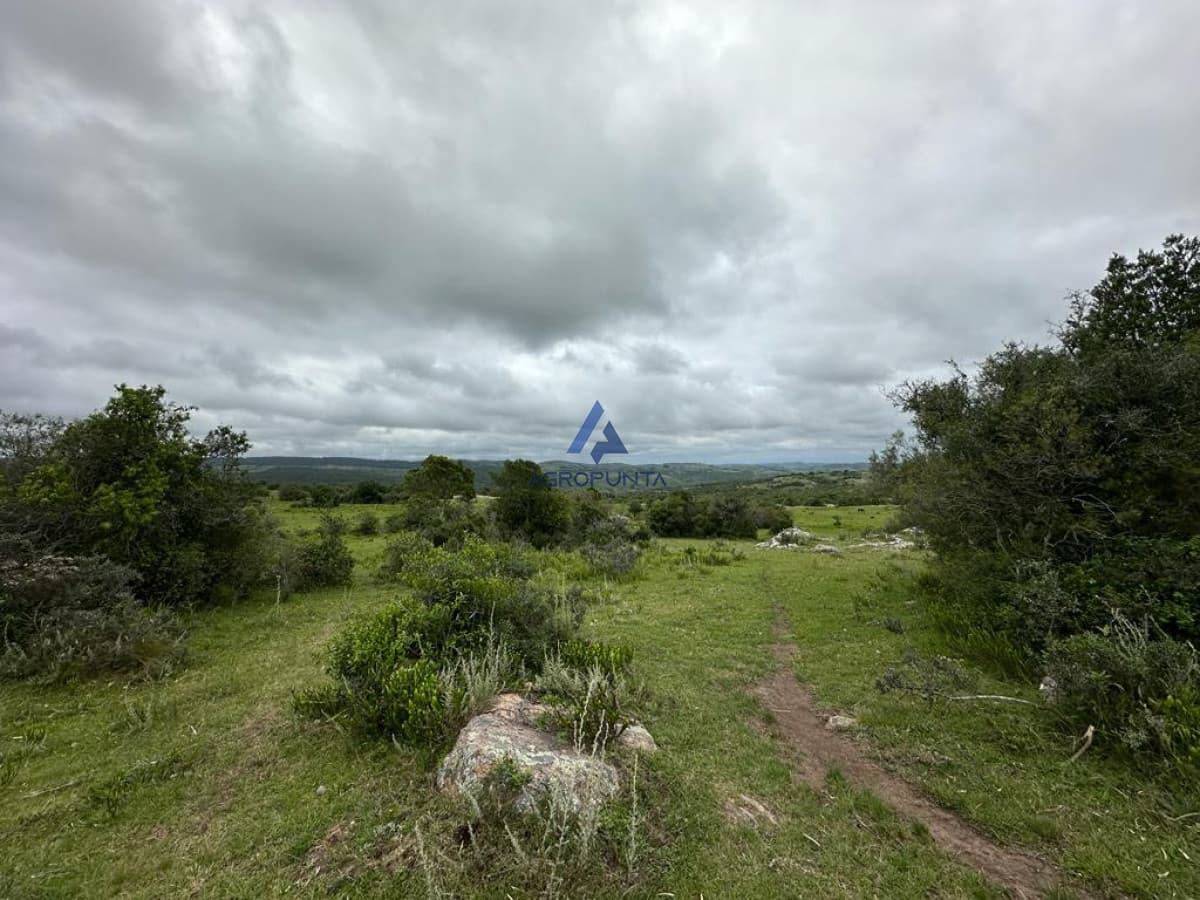 Chacra Ruta 39