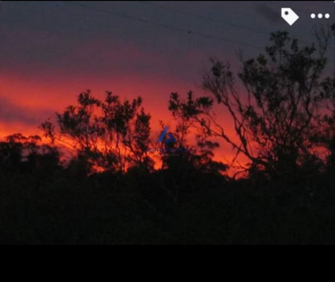 Chacra de 39 hectáreas cercana a Aiguá