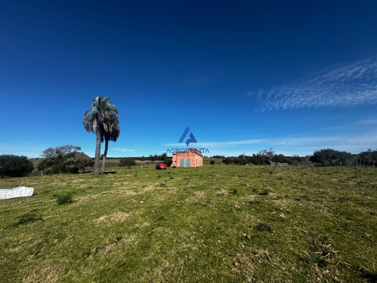 35 HAS EN VENTA A 20 MINUTOS DE SAN CARLOS!
