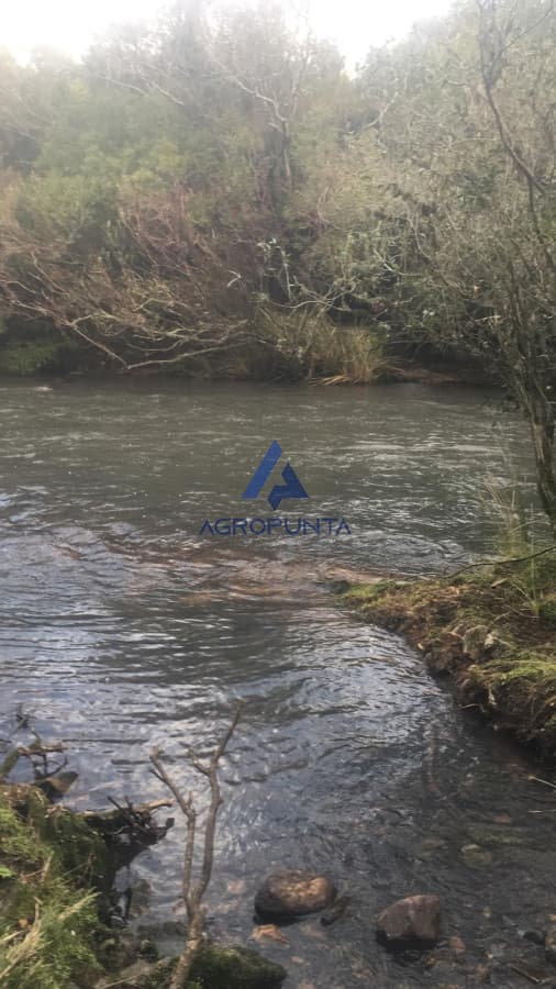 chacra venta ruta 39