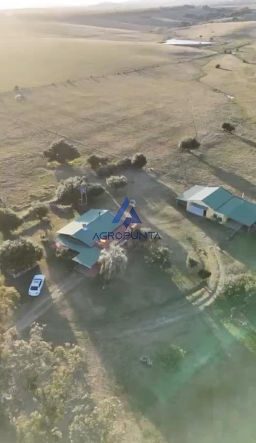 Campo 23 hectareas en Pueblo Eden