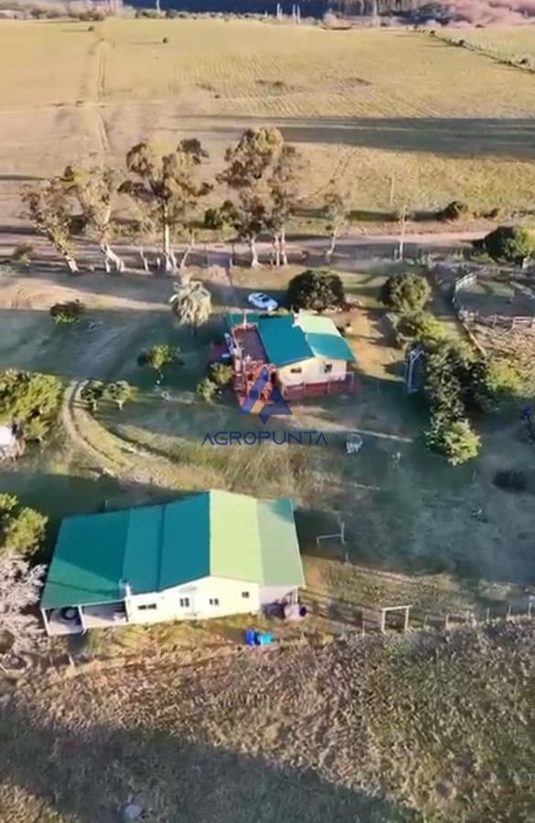 Campo 23 hectareas en Pueblo Eden