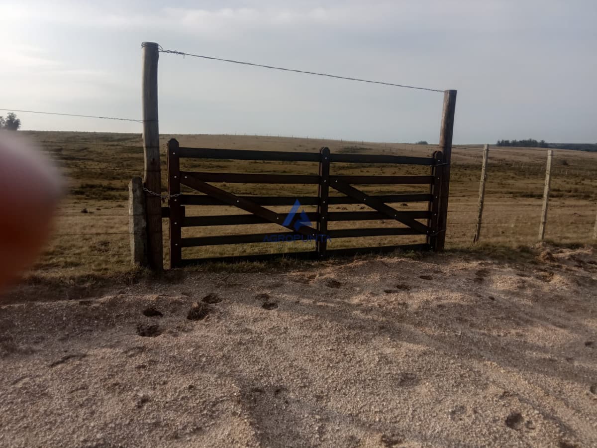 Campo en venta!