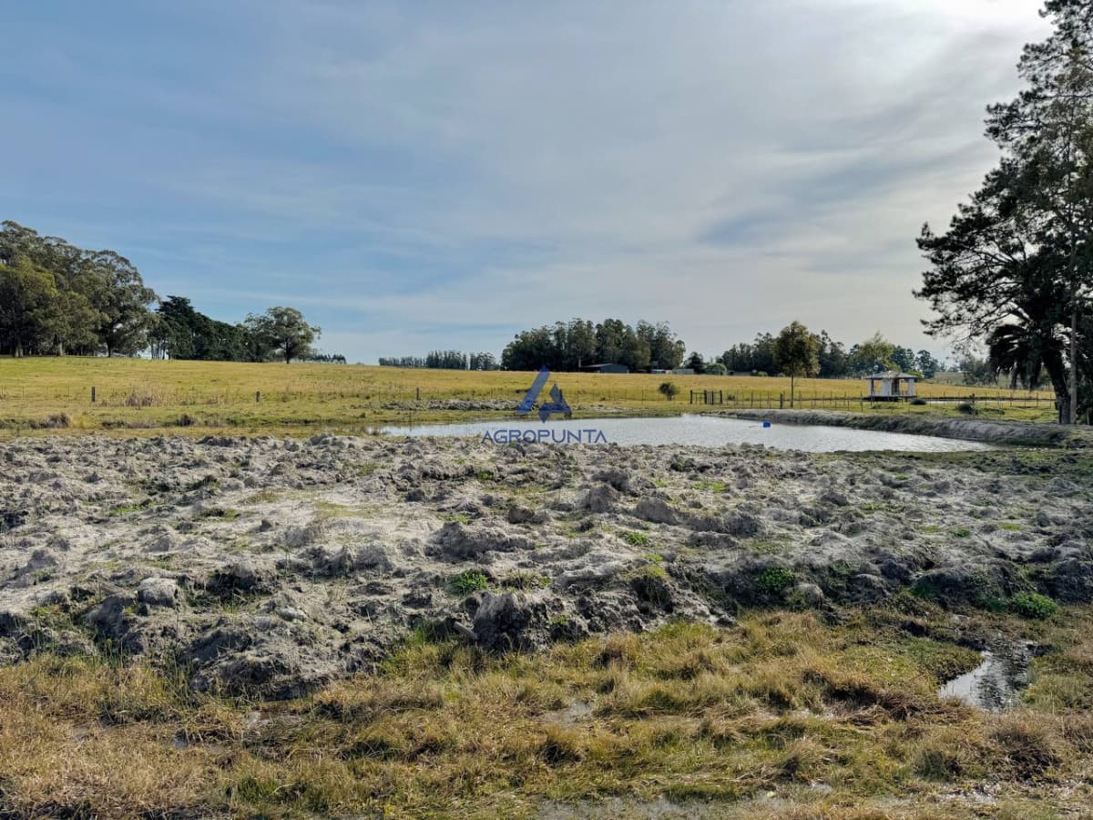 Campo en Venta 5has Sobre ruta 9
