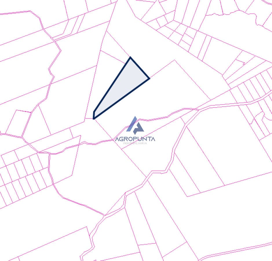 Campo de 39has en Garzón