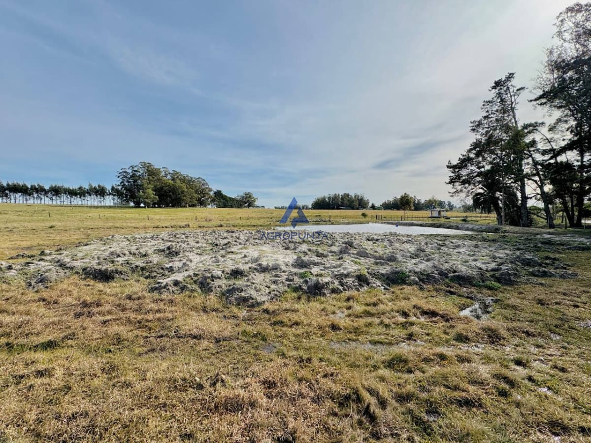 Campo en Venta 5has Sobre ruta 9