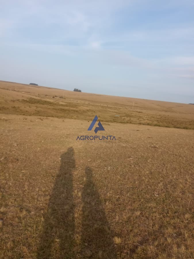 Campo en venta!