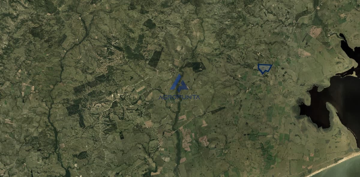 campo sobre ruta