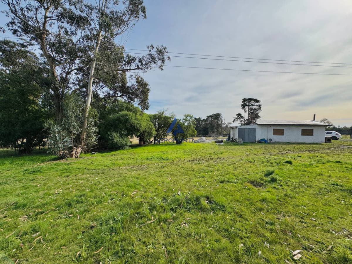 Campo en Venta 5has Sobre ruta 9