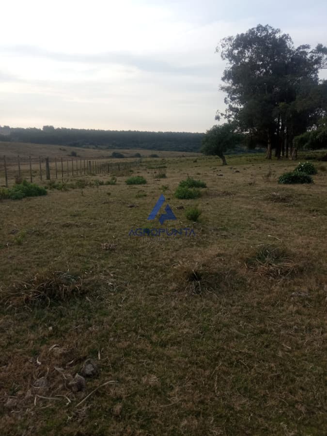 Campo en venta!