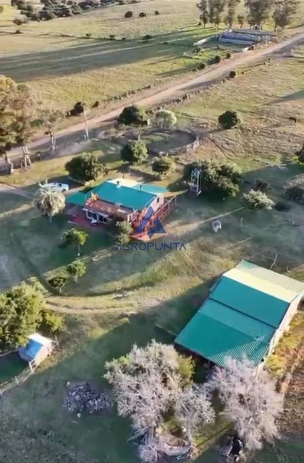 Campo 23 hectareas en Pueblo Eden