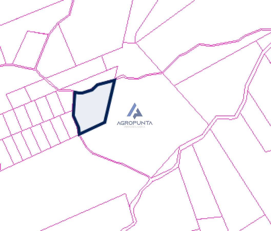 Campo en Venta Garzón 25has