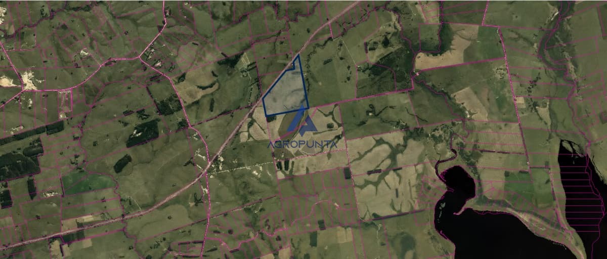 Campo turístico