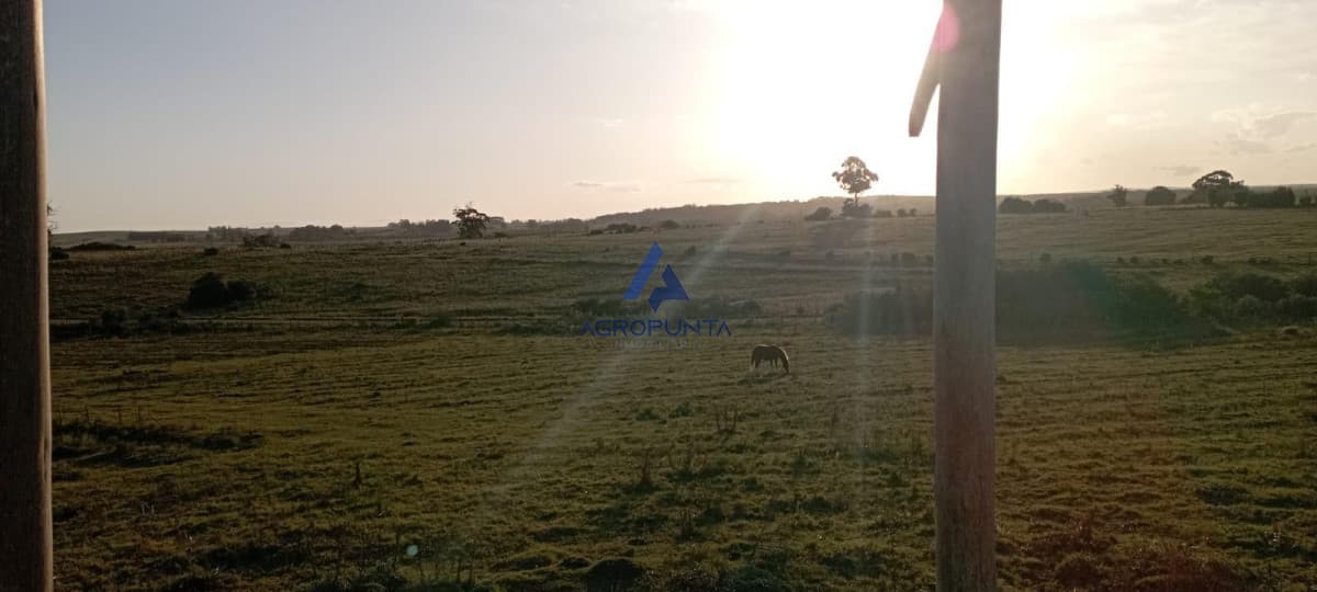 Chacra en Venta en Garzón