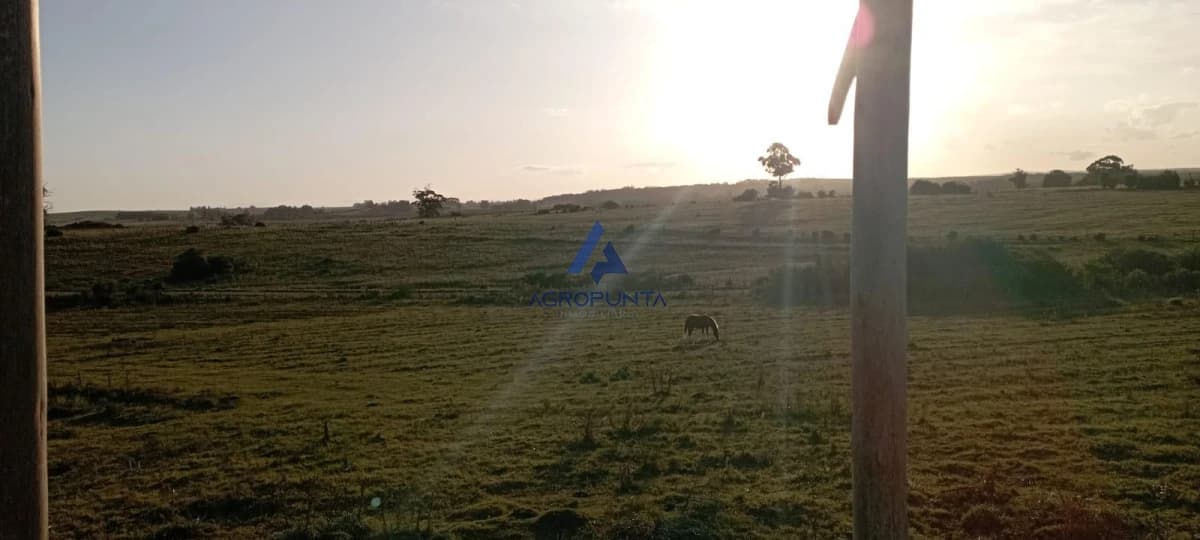 Chacra en Venta en Garzón