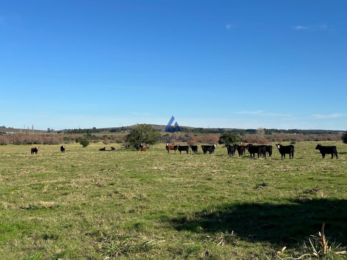 42 Hás Pueblo Edén, Buen índice CONEAT, Excelentes Vistas