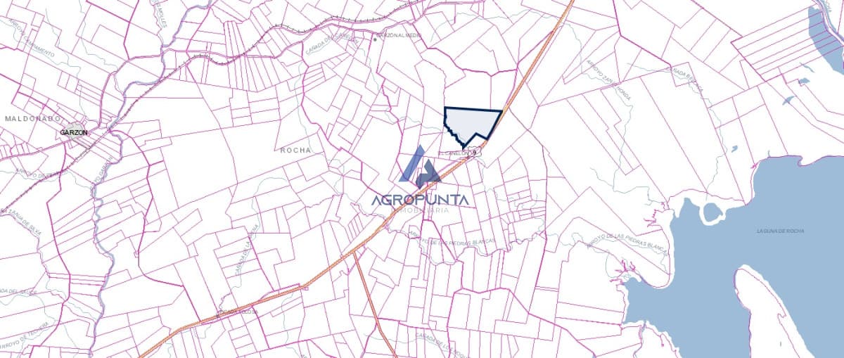campo sobre ruta