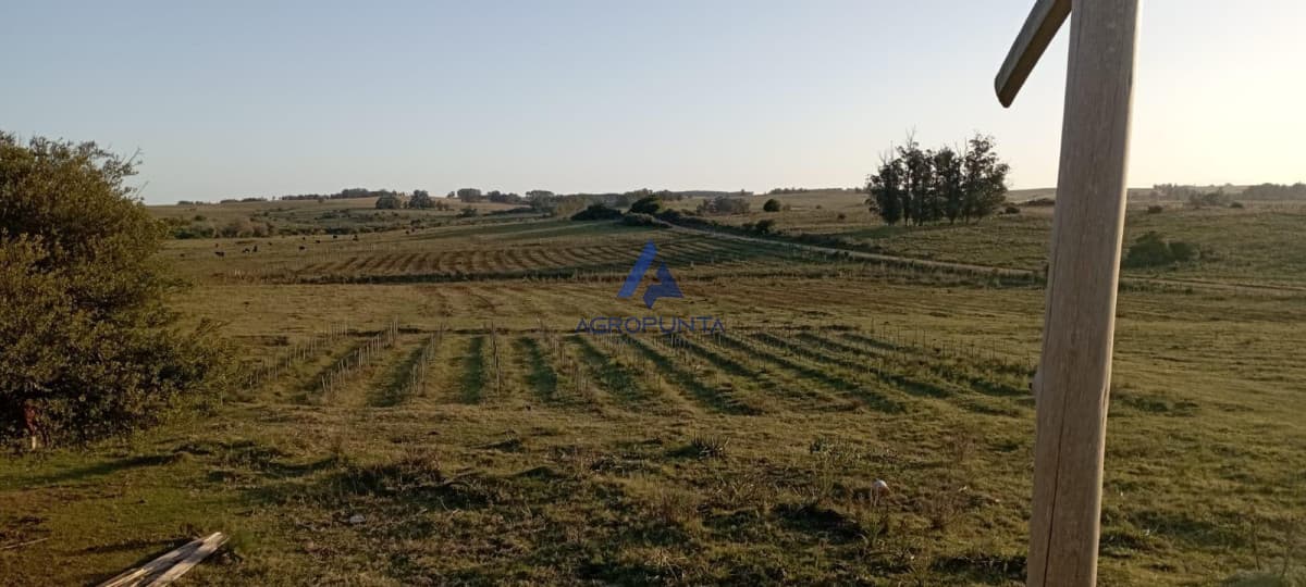 Chacra en Venta en Garzón