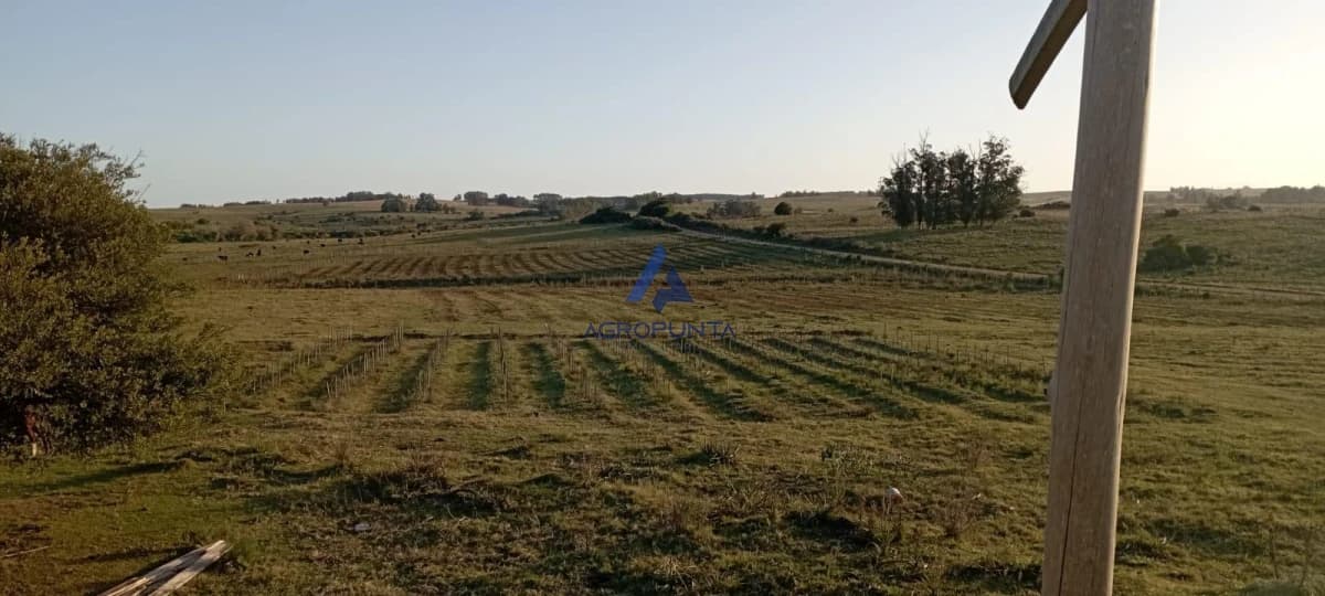 Chacra en Venta en Garzón