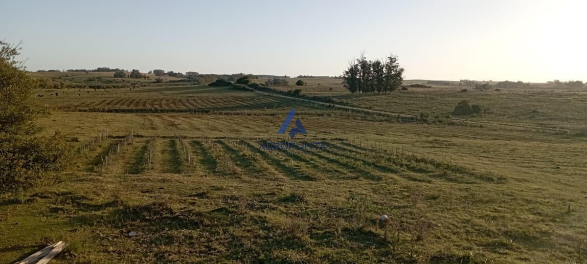 Chacra en Venta en Garzón