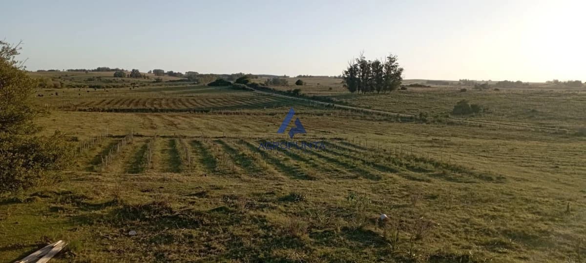 Chacra en Venta en Garzón
