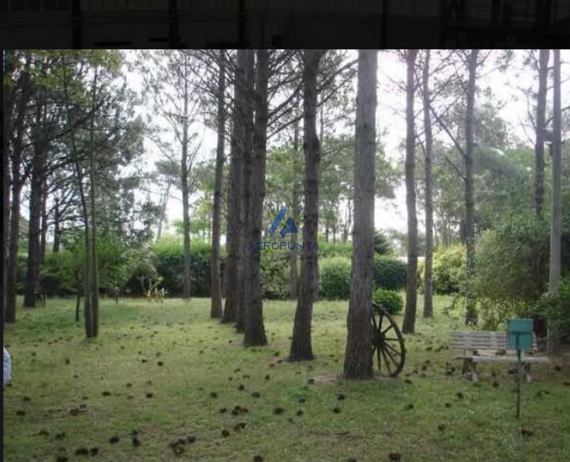 Terreno en Maldonado Oportunidad de inversión