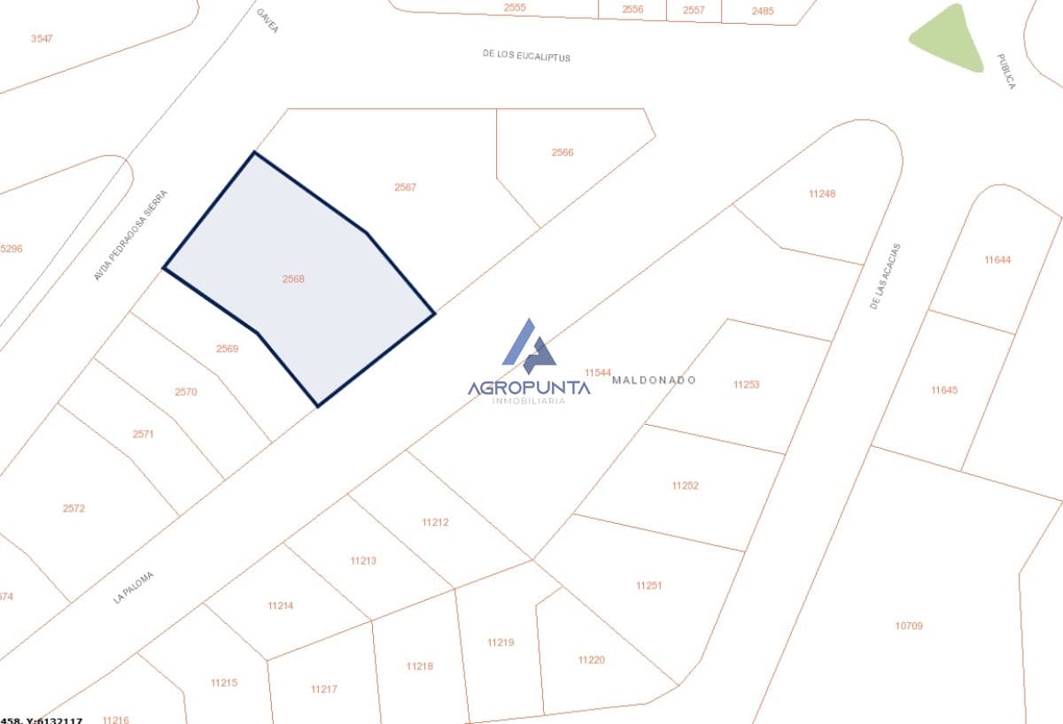 Terreno en Venta en Avenida
