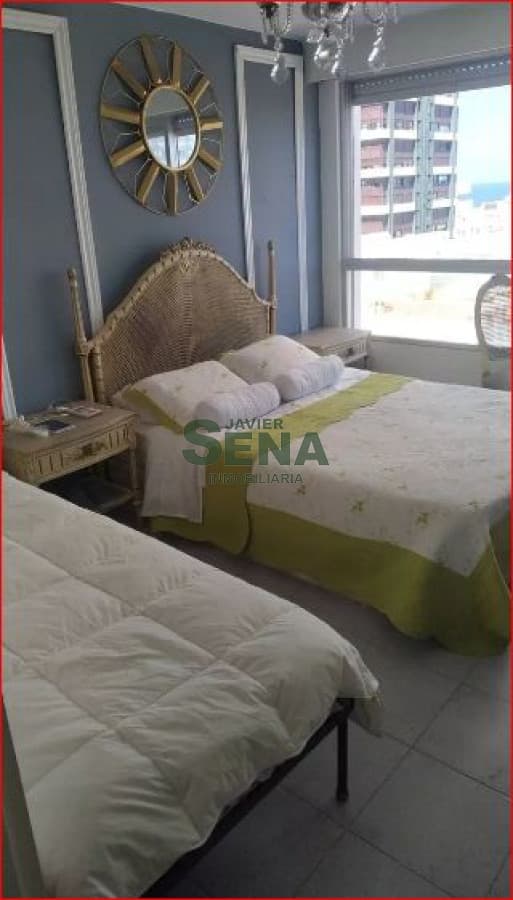 Alquiler de apartamento en la Peninsula, 1 dormitorio, baño, buen edificio.
