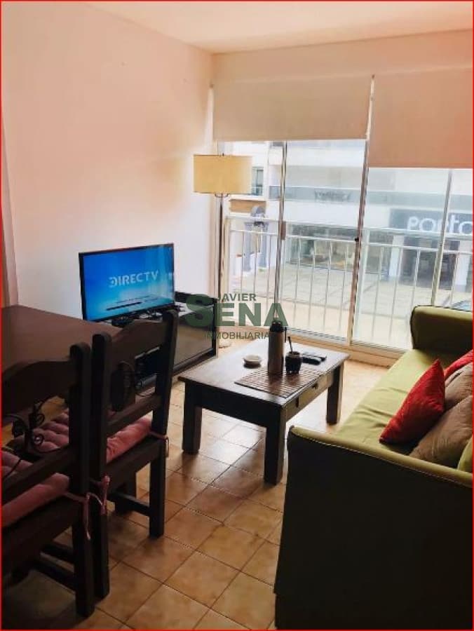 Apartamento ID.167554 - Alquiler de apartamento en la Peninsula, de 1 dormitorio, baño, a un paso de todo.