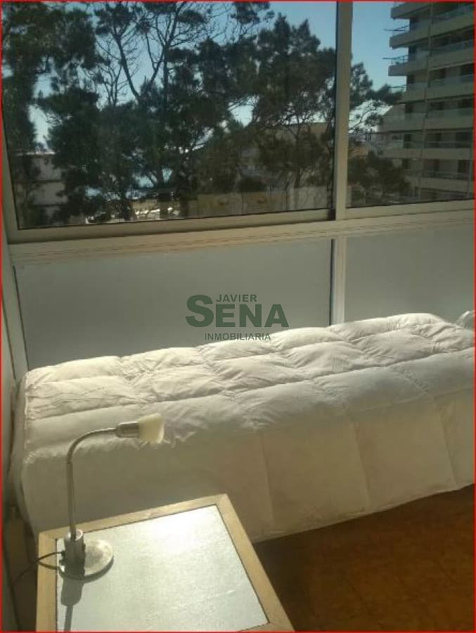 Alquiler de apartamento en la peninsula, 2 dormitorios, baño, buena vista.