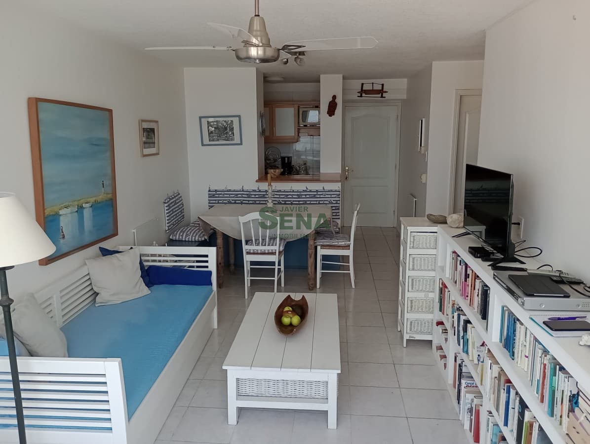 Alquiler de apartamento en la brava, 1 dormitorio, baño, terraza y buena vista.