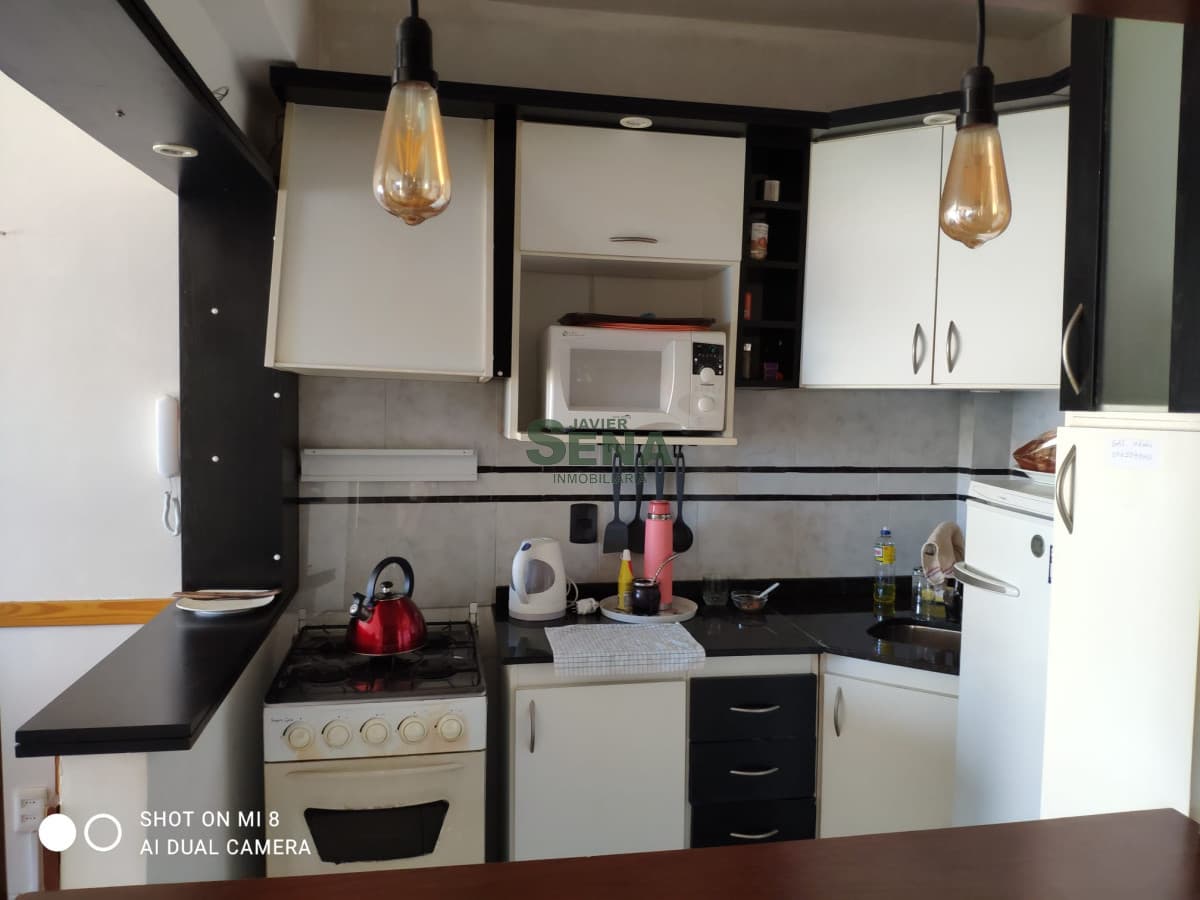 Alquiler de apartamento en la Peninsula,  1 dormitorio, baño, buena vista.