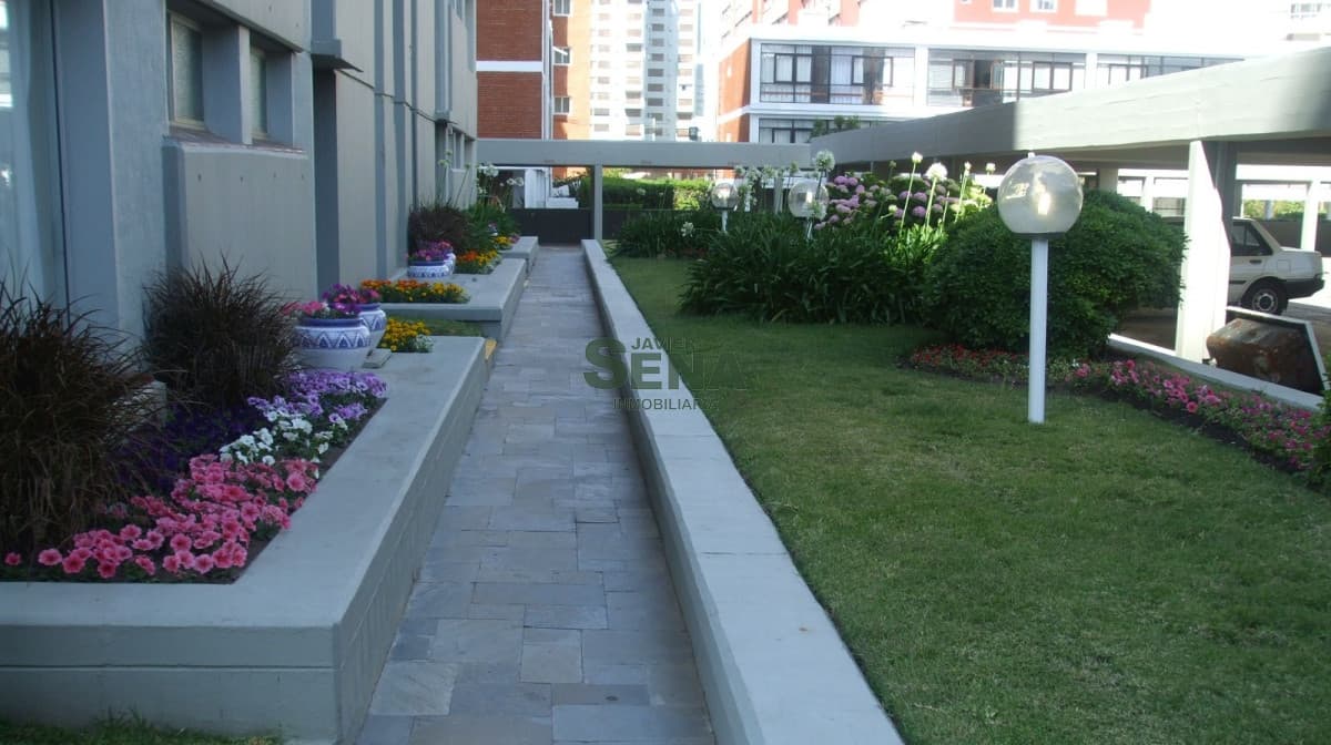 Alquiler de apartamento en la brava, 1 dormitorio, baño, piscina, servicios y buena vista.
