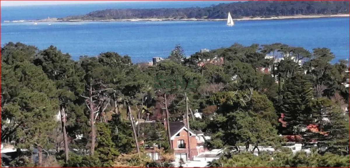 Alquiler de apartamento en la Roosevelt, 1 dormitorio, baño, piscina, servicios, gran vista al mar.